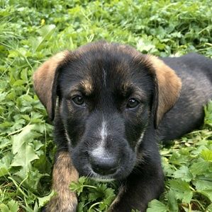 Meet your Posher, Mike